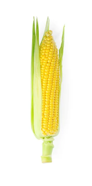 Tasty Fresh Corn Cob Isolated White — Zdjęcie stockowe