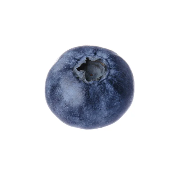 Tasty Ripe Fresh Blueberry Isolated White — 스톡 사진