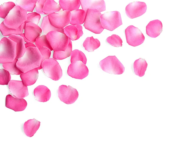 Πολλά Ροζ Ροδοπέταλα Λευκό Φόντο Κορυφαία Άποψη — Φωτογραφία Αρχείου