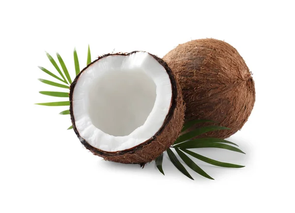 Fresh Ripe Coconuts Palm Leaves Isolated White — Stock fotografie