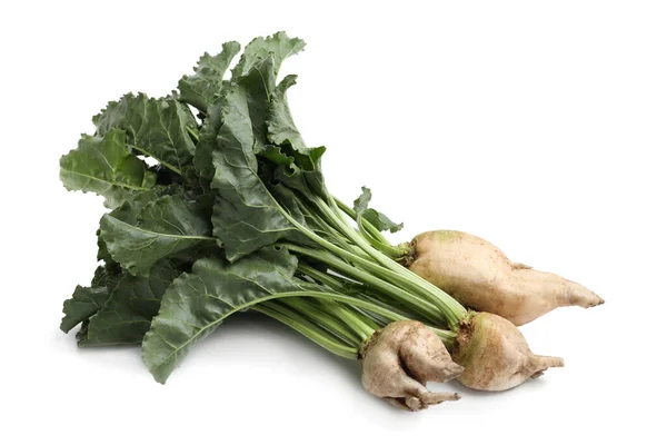 Sugar Beets Leaves White Background — 스톡 사진