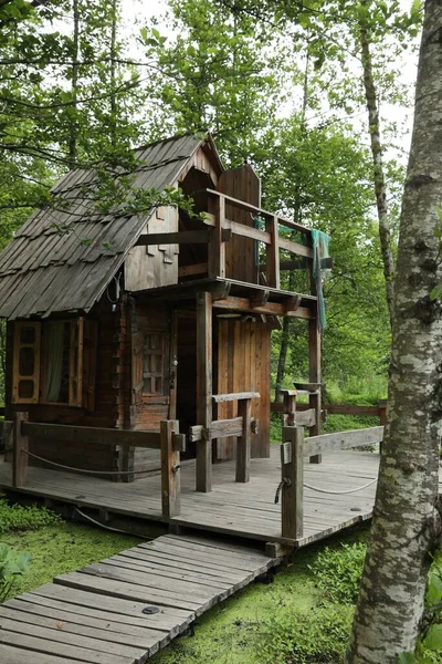 Old Wooden Hut Beautiful Tranquil Forest — Fotografia de Stock