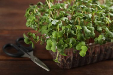 Fresh radish microgreens in plastic container and scissors on wooden table, closeup