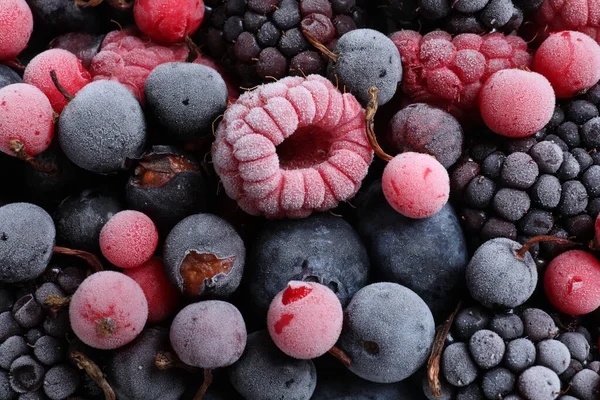 얼어붙은 열매들이 뒤섞인 위에서 — 스톡 사진