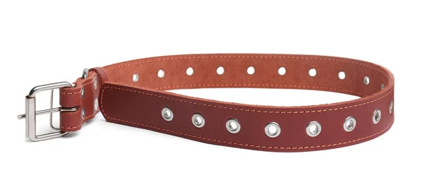 Brown Leather Dog Collar Isolated White — Stockfoto