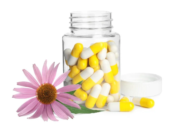 Bottle Vitamin Pills Beautiful Echinacea Flower White Background — Fotografia de Stock