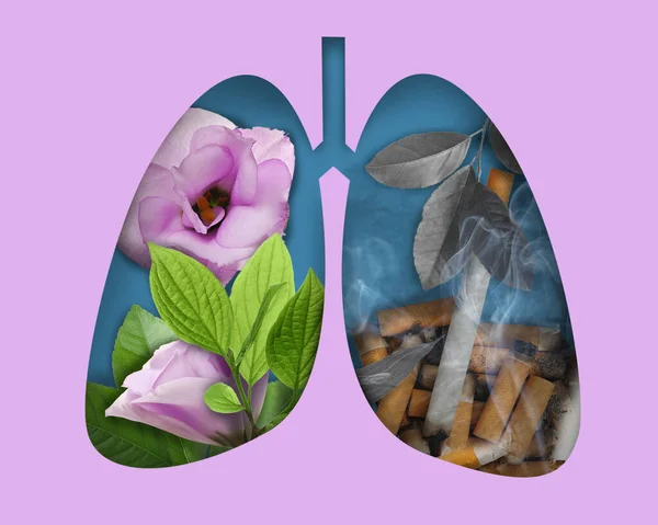 Illustration Human Lungs One Part Image Fresh Flowers Another Cigarettes — Stock Photo, Image