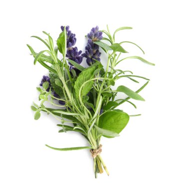 Bunch of fresh aromatic herbs on white background, top view