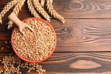 Wheat grains with spikelets on wooden table, flat lay. Space for text