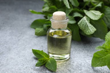 Bottle of essential oil and mint on grey table, closeup