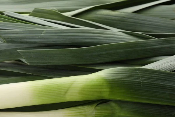 Fresh Raw Leeks Background Closeup View — 스톡 사진