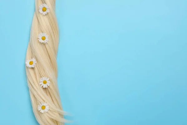 Lock Healthy Blond Hair Flowers Light Blue Background Top View — Fotografia de Stock