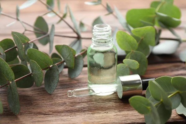 Bottle of eucalyptus essential oil and plant branches on wooden table