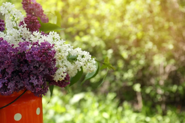 Bouquet Beautiful Lilac Flowers Milk Can Outdoors Closeup Space Text — стоковое фото