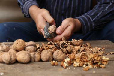 Man cracking walnuts at wooden table, closeup