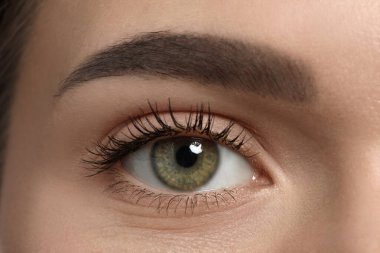 Kalıcı kaş makyajlı genç kadın, yakın plan.