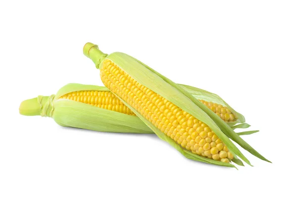 Tasty Fresh Corn Cobs Isolated White — 스톡 사진