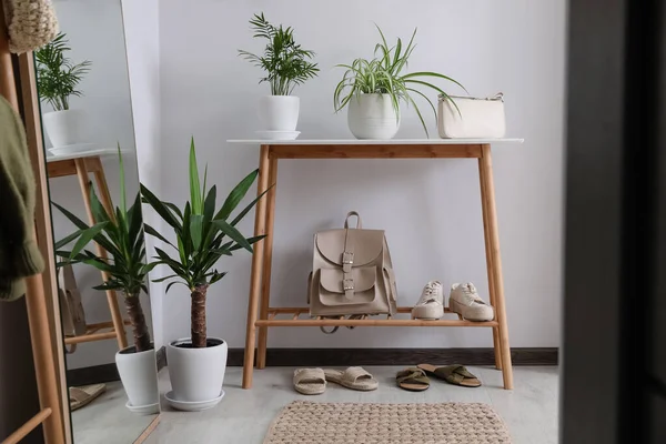 Wooden Table Shoes Accessories Houseplants White Wall Hallway — Photo