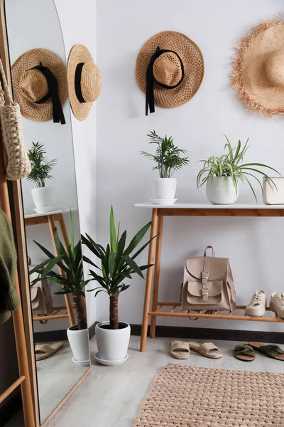 Wooden Table Shoes Accessories Houseplants White Wall Hallway — ストック写真