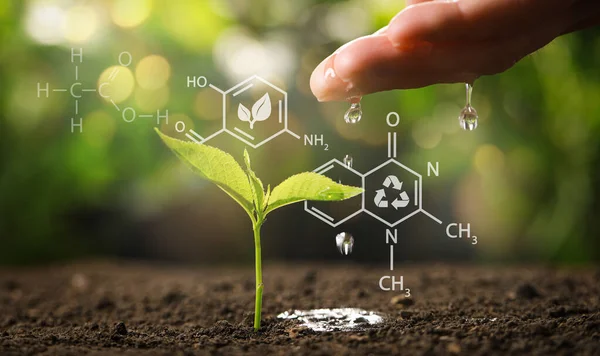 Illustration Chemical Formulas Woman Pouring Water Young Seedling Soil Blurred — Stockfoto