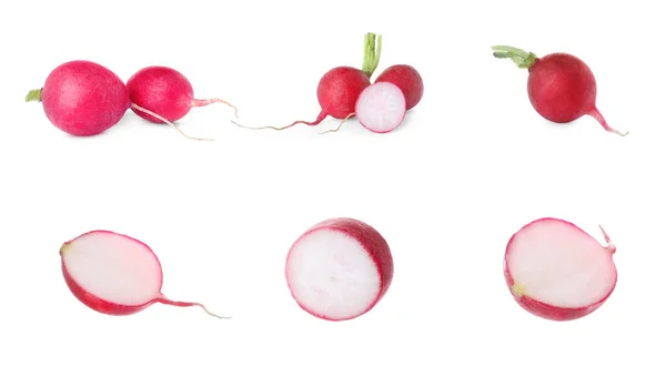 Set Fresh Ripe Radishes White Background — 스톡 사진