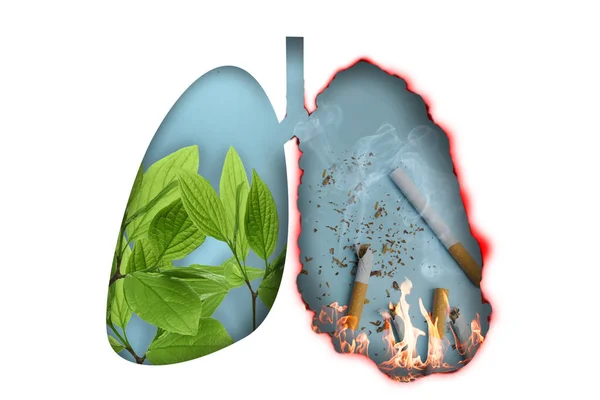 Illustration Human Lungs One Part Image Fresh Leaves Another Cigarettes — Stock Photo, Image