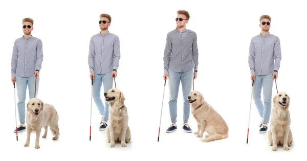 Blind Man Long Cane Guide Dog White Background Banner Design — Fotografia de Stock