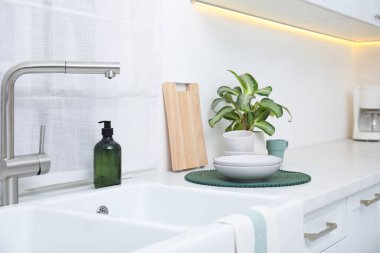 Kitchen counter with sink, houseplant and clean dishes
