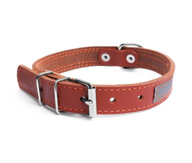 Brown leather dog collar isolated on white