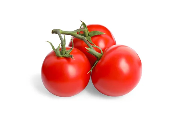 Branch Red Ripe Tomatoes Isolated White — Foto de Stock