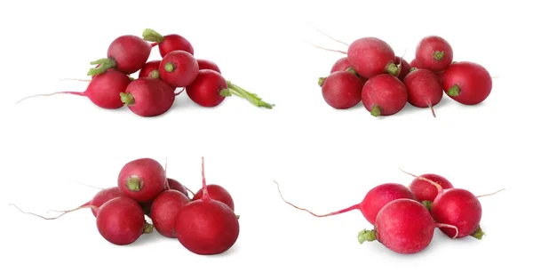 Set Fresh Ripe Radishes White Background — Zdjęcie stockowe