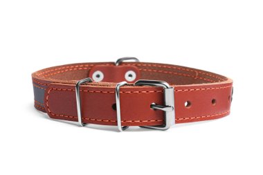 Brown leather dog collar isolated on white