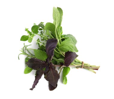 Bunch of fresh aromatic herbs on white background