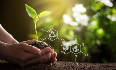 Illustration of chemical formulas and woman holding young green seedling in soil, closeup