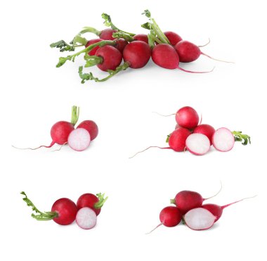 Set with fresh ripe radishes on white background
