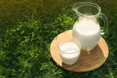 Jug and glass of tasty fresh milk on green grass outdoors, space for text