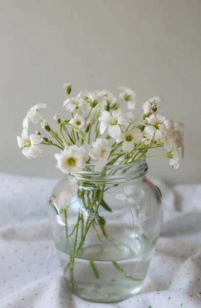 Bouquet Beautiful White Snow Summer Flowers Glass Vase Fabric — 스톡 사진
