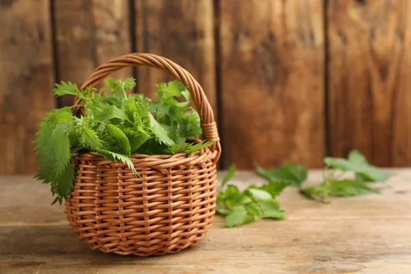 Fresh Stinging Nettle Leaves Wicker Basket Wooden Table Space Text — Stockfoto