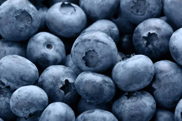 Tasty Fresh Ripe Blueberries Background Closeup — ストック写真