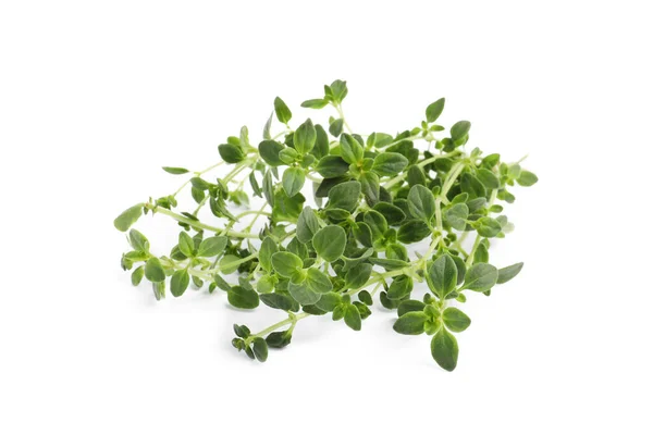 Aromatic Fresh Marjoram Leaves White Background — ストック写真