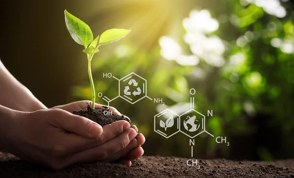 Illustration Chemical Formulas Woman Holding Young Green Seedling Soil Closeup — 스톡 사진