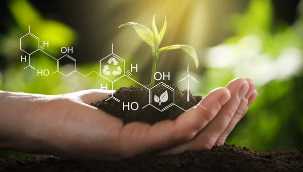 Illustration Chemical Formula Woman Holding Young Green Seedling Soil Closeup — Stockfoto