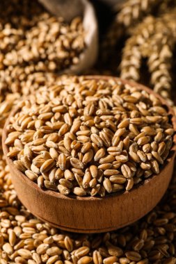 Closeup view of bowl and wheat grains