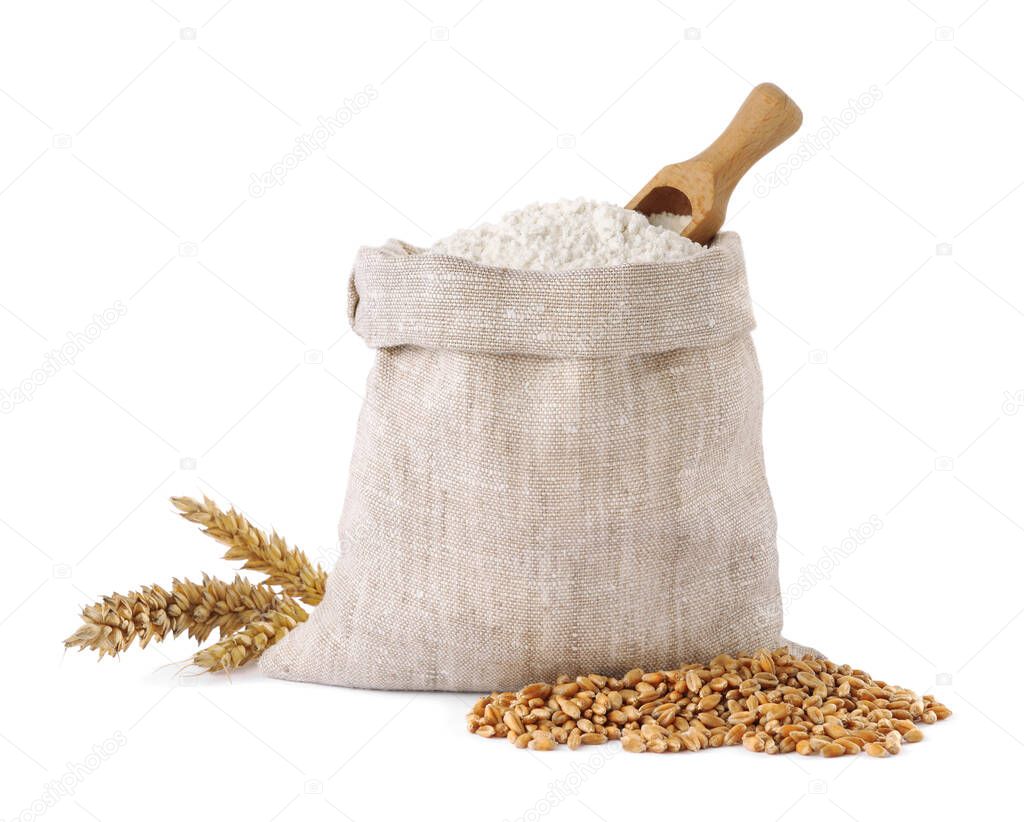 Bag with organic flour, spikelets and grains of wheat on white background