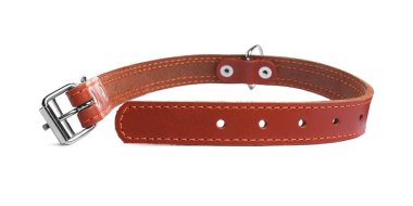 Brown leather dog collar isolated on white