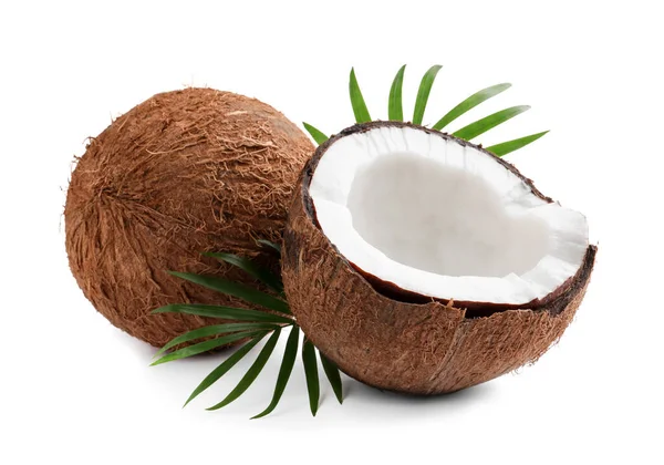 Fresh Ripe Coconuts Green Leaves White Background — Stockfoto