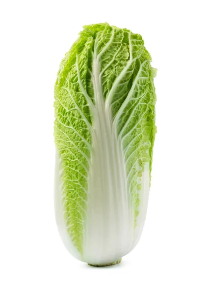 Fresh Ripe Chinese Cabbage White Background — Zdjęcie stockowe