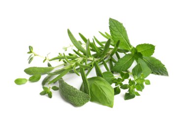 Beyaz arka planda çeşitli taze aromatik otlar