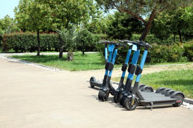 Many modern electric scooters in park, space for text. Rental service