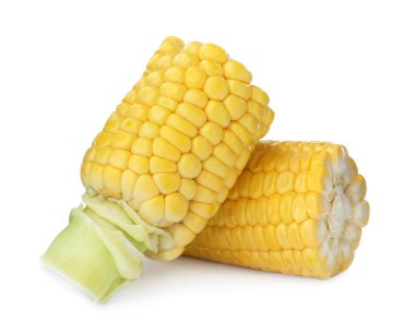 Pieces of fresh corncob on white background